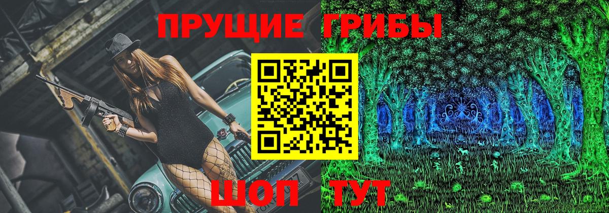 Галлюциногенные грибы Magic Shrooms  Вход с VPN  купить наркотики сайты  Тайшет 
